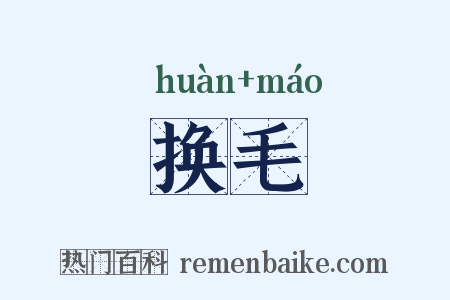 换毛是什么意思的图片